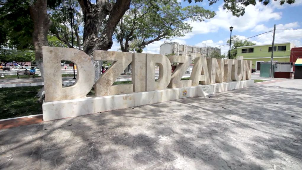 dz001